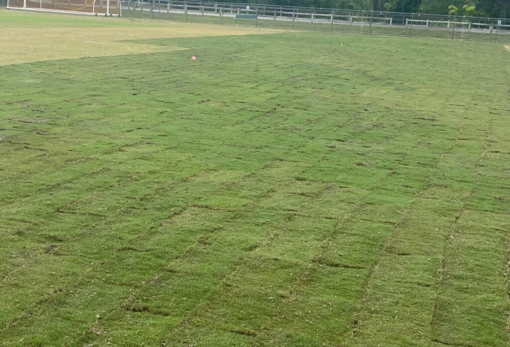 Soccer field surrounded by fresh green sod installed by Neptune Nursery, a professional sod installation company.