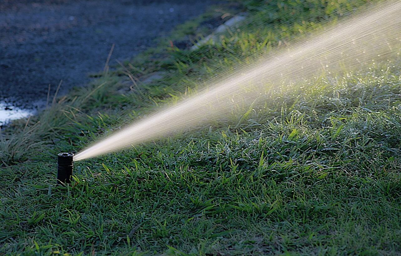 water, watering, irrigation