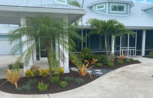 garden with palms and plants