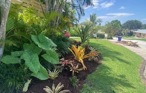 garden bed with beautiful plants