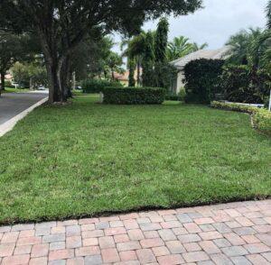 Fresh Floratam grass was installed in Palm City by Neptune Nursery