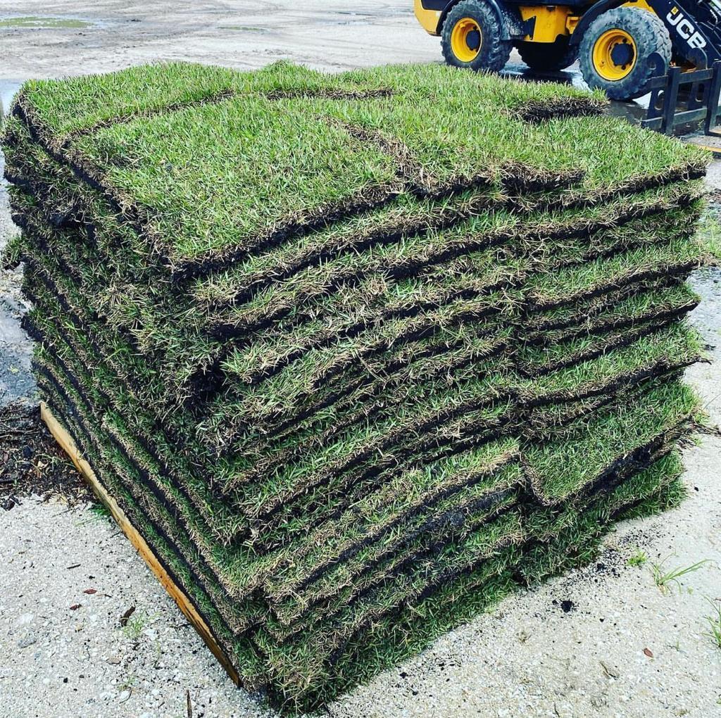 Zoysia Sod pallet at Neptune Nursery