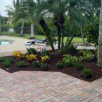 Stunning garden featuring a variety of plants and palm trees from Neptune Nursery
