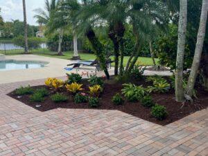 Stunning garden featuring a variety of plants and palm trees from Neptune Nursery