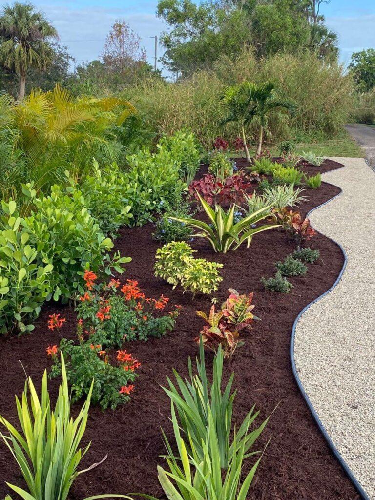 Vibrant landscape created by Neptune Nursery with variety of plants and mulch