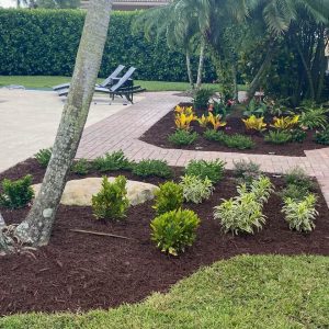 Landscaping with plants and mulch