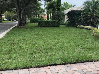 Fresh Floratam grass was installed in Palm City by Neptune Nursery