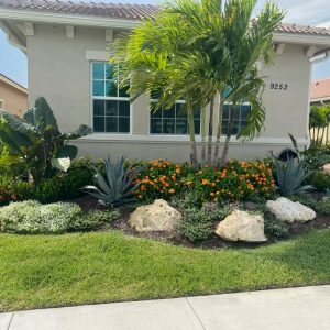 Beautiful Landscaping with plants and rocks by Neptune Nursery