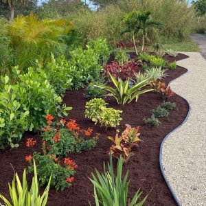 Vibrant landscape created by Neptune Nursery with variety of plants and mulch